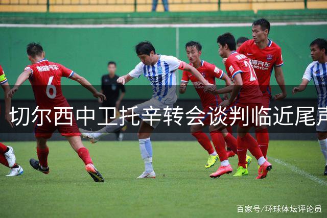 切尔西中卫托辛转会谈判临近尾声