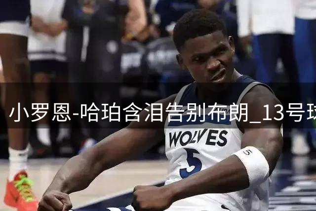 小罗恩-哈珀含泪告别布朗 13号球衣易主乔治