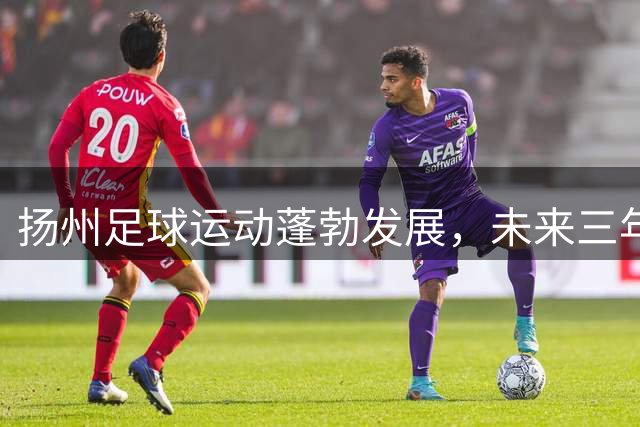 扬州足球运动蓬勃发展，未来三年将达到30万参与者