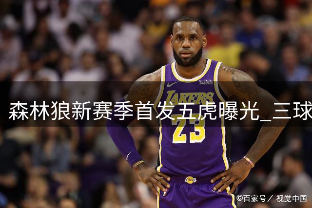 森林狼新赛季首发五虎曝光 三球联手华子戈贝尔能走多远