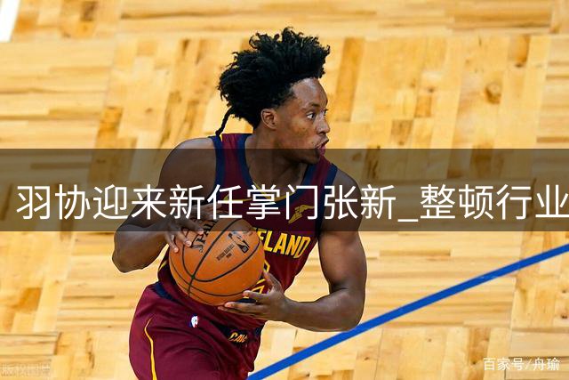 羽协迎来新任掌门张新 整顿行业乱象任重道远