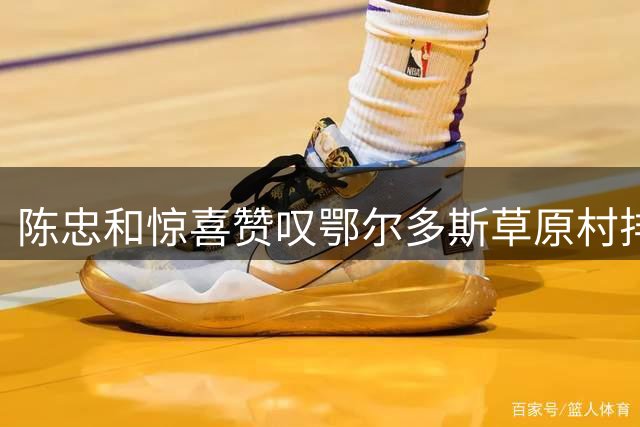 陈忠和惊喜赞叹鄂尔多斯"草原村排"：排球精神在草原扎根